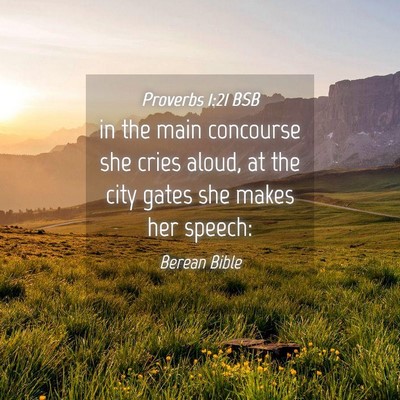 Picture 04 - Proverbs 1:21 BSB - in the main concourse she cries aloud, at the - Bible Verse Picture