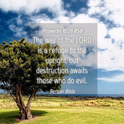Picture 04 - Proverbs 10:29 BSB - The way of the LORD is a refuge to the upright, - Bible Verse Picture