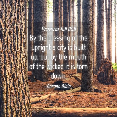 Picture 04 - Proverbs 11:11 BSB - By the blessing of the upright a city is built - Bible Verse Picture