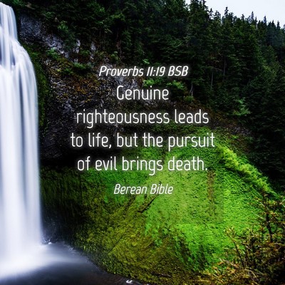Picture 04 - Proverbs 11:19 BSB - Genuine righteousness leads to life, but the - Bible Verse Picture