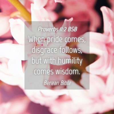 Picture 04 - Proverbs 11:2 BSB - When pride comes, disgrace follows, but with - Bible Verse Picture