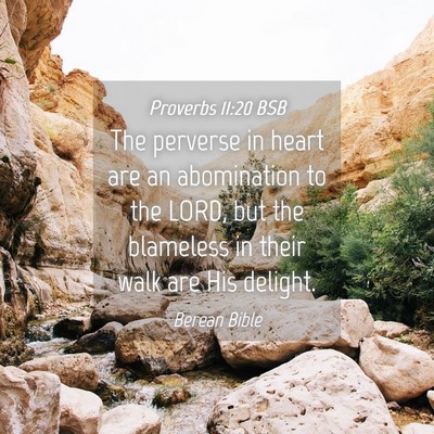 Picture 04 - Proverbs 11:20 BSB - The perverse in heart are an abomination to the - Bible Verse Picture