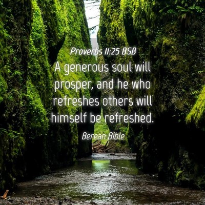 Picture 04 - Proverbs 11:25 BSB - A generous soul will prosper, and he who - Bible Verse Picture