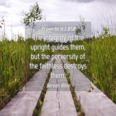 Picture 04 - Proverbs 11:3 BSB - The integrity of the upright guides them, but the - Bible Verse Picture