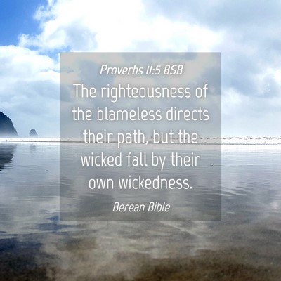 Picture 04 - Proverbs 11:5 BSB - The righteousness of the blameless directs their - Bible Verse Picture