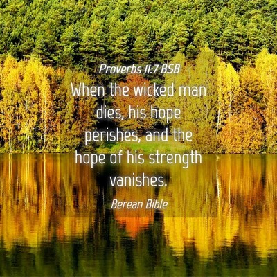 Picture 04 - Proverbs 11:7 BSB - When the wicked man dies, his hope perishes, and - Bible Verse Picture