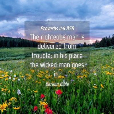 Picture 04 - Proverbs 11:8 BSB - The righteous man is delivered from trouble; in - Bible Verse Picture