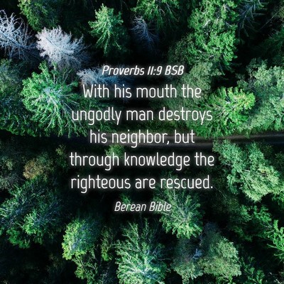 Picture 04 - Proverbs 11:9 BSB - With his mouth the ungodly man destroys his - Bible Verse Picture