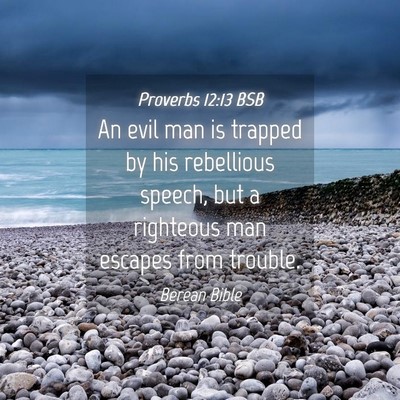 Picture 04 - Proverbs 12:13 BSB - An evil man is trapped by his rebellious speech, - Bible Verse Picture