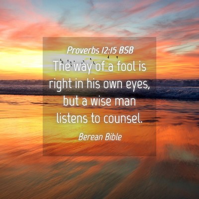 Picture 04 - Proverbs 12:15 BSB - The way of a fool is right in his own eyes, but a - Bible Verse Picture