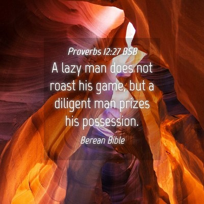 Picture 04 - Proverbs 12:27 BSB - A lazy man does not roast his game, but a - Bible Verse Picture