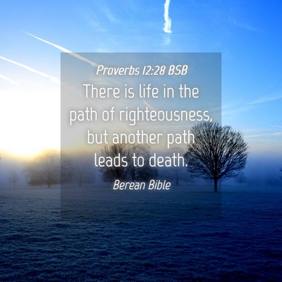 Picture 04 - Proverbs 12:28 BSB - There is life in the path of righteousness, but - Bible Verse Picture