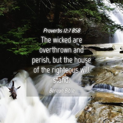 Picture 04 - Proverbs 12:7 BSB - The wicked are overthrown and perish, but the - Bible Verse Picture