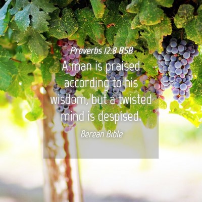 Picture 04 - Proverbs 12:8 BSB - A man is praised according to his wisdom, but a - Bible Verse Picture