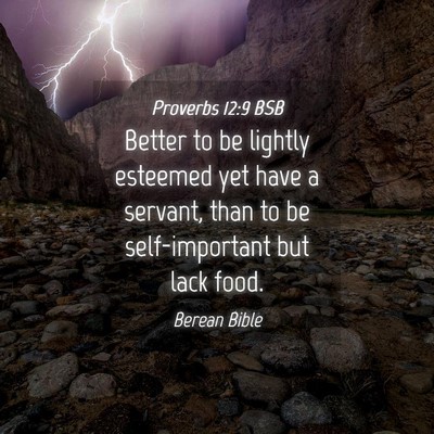 Picture 04 - Proverbs 12:9 BSB - Better to be lightly esteemed yet have a servant, - Bible Verse Picture