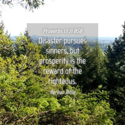 Picture 04 - Proverbs 13:21 BSB - Disaster pursues sinners, but prosperity is the - Bible Verse Picture