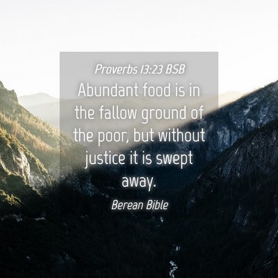Picture 04 - Proverbs 13:23 BSB - Abundant food is in the fallow ground of the - Bible Verse Picture
