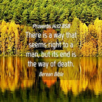 Picture 04 - Proverbs 14:12 BSB - There is a way that seems right to a man, but its - Bible Verse Picture