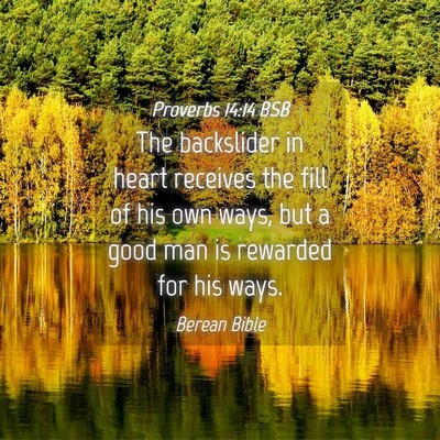 Picture 04 - Proverbs 14:14 BSB - The backslider in heart receives the fill of his - Bible Verse Picture
