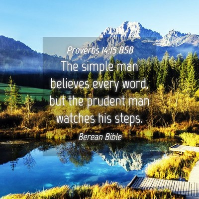 Picture 04 - Proverbs 14:15 BSB - The simple man believes every word, but the - Bible Verse Picture
