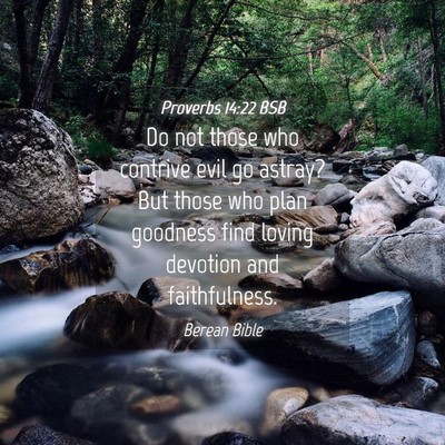 Picture 04 - Proverbs 14:22 BSB - Do not those who contrive evil go astray? But - Bible Verse Picture