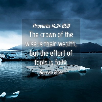 Picture 04 - Proverbs 14:24 BSB - The crown of the wise is their wealth, but the - Bible Verse Picture