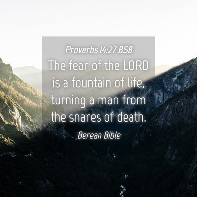 Picture 04 - Proverbs 14:27 BSB - The fear of the LORD is a fountain of life, - Bible Verse Picture
