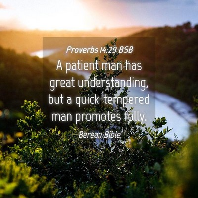 Picture 04 - Proverbs 14:29 BSB - A patient man has great understanding, but a - Bible Verse Picture