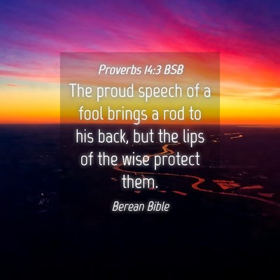 Picture 04 - Proverbs 14:3 BSB - The proud speech of a fool brings a rod to his - Bible Verse Picture
