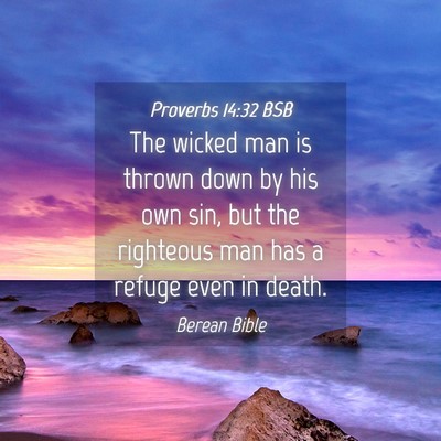 Picture 04 - Proverbs 14:32 BSB - The wicked man is thrown down by his own sin, but - Bible Verse Picture