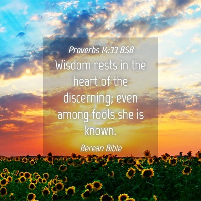Picture 04 - Proverbs 14:33 BSB - Wisdom rests in the heart of the discerning; even - Bible Verse Picture