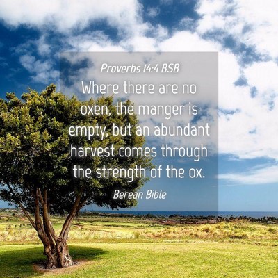 Picture 04 - Proverbs 14:4 BSB - Where there are no oxen, the manger is empty, but - Bible Verse Picture