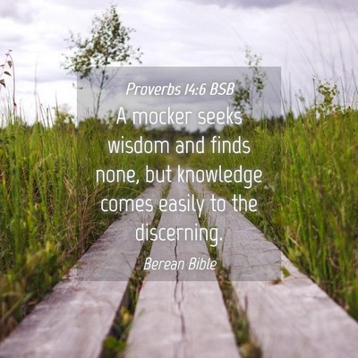 Picture 04 - Proverbs 14:6 BSB - A mocker seeks wisdom and finds none, but - Bible Verse Picture