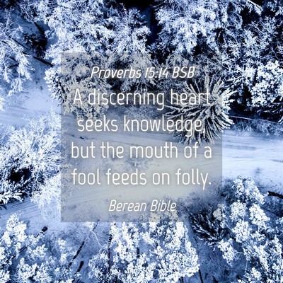 Picture 04 - Proverbs 15:14 BSB - A discerning heart seeks knowledge, but the mouth - Bible Verse Picture