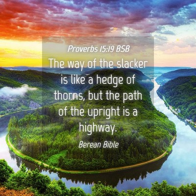 Picture 04 - Proverbs 15:19 BSB - The way of the slacker is like a hedge of thorns, - Bible Verse Picture