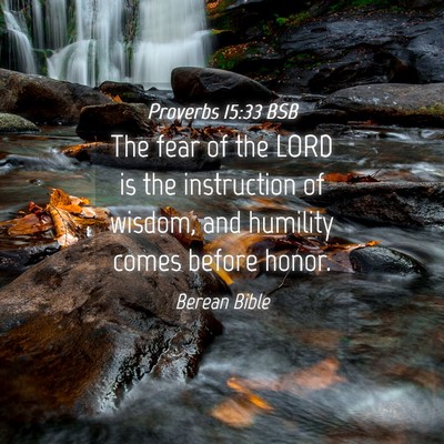 Picture 04 - Proverbs 15:33 BSB - The fear of the LORD is the instruction of - Bible Verse Picture