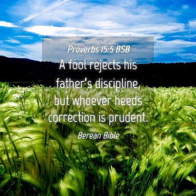 Picture 04 - Proverbs 15:5 BSB - A fool rejects his father’s discipline, but - Bible Verse Picture