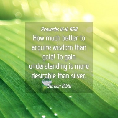 Picture 04 - Proverbs 16:16 BSB - How much better to acquire wisdom than gold! To - Bible Verse Picture