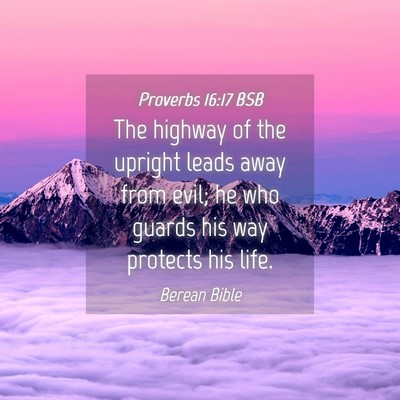 Picture 04 - Proverbs 16:17 BSB - The highway of the upright leads away from evil; - Bible Verse Picture