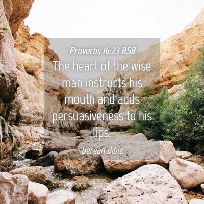 Picture 04 - Proverbs 16:23 BSB - The heart of the wise man instructs his mouth and - Bible Verse Picture