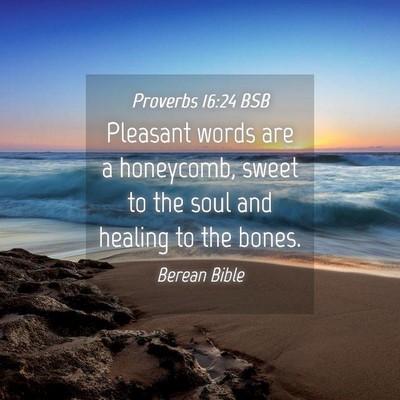 Picture 04 - Proverbs 16:24 BSB - Pleasant words are a honeycomb, sweet to the soul - Bible Verse Picture