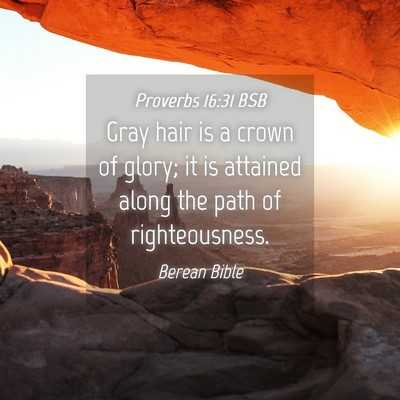Picture 04 - Proverbs 16:31 BSB - Gray hair is a crown of glory; it is attained - Bible Verse Picture