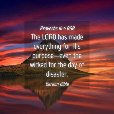 Picture 04 - Proverbs 16:4 BSB - The LORD has made everything for His - Bible Verse Picture