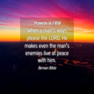 Picture 04 - Proverbs 16:7 BSB - When a man’s ways please the LORD, He makes - Bible Verse Picture