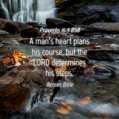 Picture 04 - Proverbs 16:9 BSB - A man’s heart plans his course, but the LORD - Bible Verse Picture