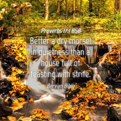 Picture 04 - Proverbs 17:1 BSB - Better a dry morsel in quietness than a house - Bible Verse Picture