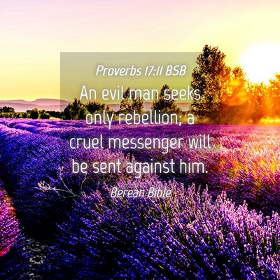 Picture 04 - Proverbs 17:11 BSB - An evil man seeks only rebellion; a cruel - Bible Verse Picture