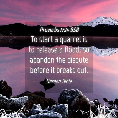 Picture 04 - Proverbs 17:14 BSB - To start a quarrel is to release a flood; so - Bible Verse Picture