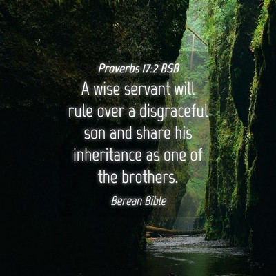 Picture 04 - Proverbs 17:2 BSB - A wise servant will rule over a disgraceful son - Bible Verse Picture