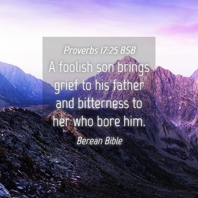 Picture 04 - Proverbs 17:25 BSB - A foolish son brings grief to his father and - Bible Verse Picture